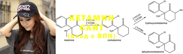 гашик Вяземский